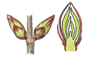 06037ftd-e4f7-188x116.png