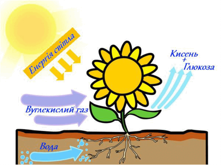 06037gyp-c85e-940x705.png