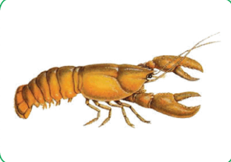 06037jbc-2f21-327x229.png