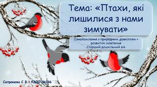 Конспект та презентація на тему: "Птахи, які лишились з нами зимувати"