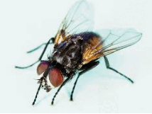 06037mtm-e23d-214x161.png