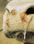 06037n0w-9466-119x153.png