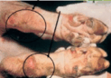 06037n14-bc4f-123x86.png