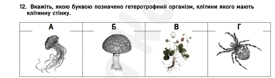 06037ojk-958d-940x266.png