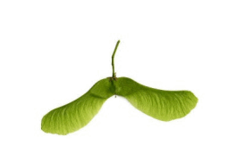 06037ov7-1283-255x172.png