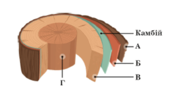 06037pa0-6a12-347x194.png