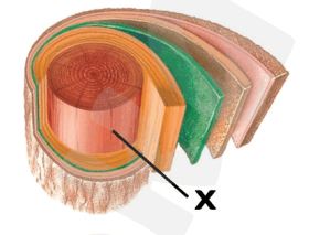 06037pbi-b800-280x213.png