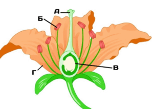 06037phr-55a7-297x213.png