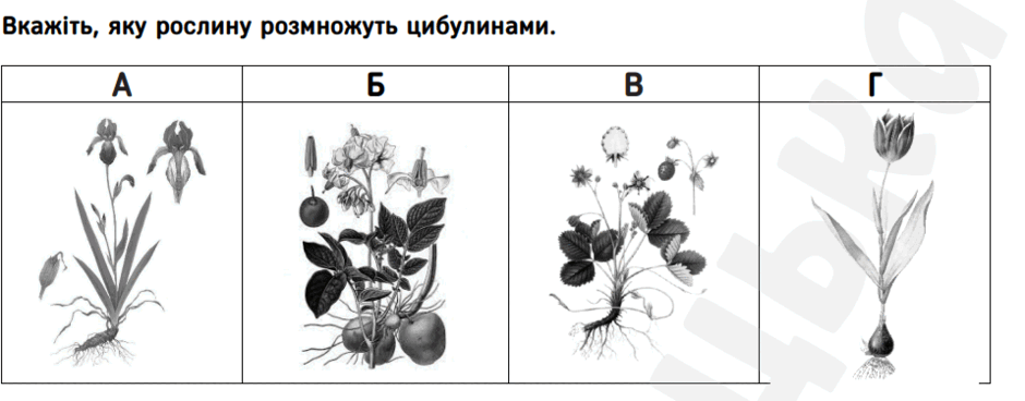 06037po8-a6d8-940x368.png