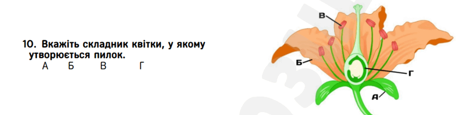 06037ppe-f711-940x237.png