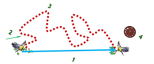 06037u03-f6f6-308x128.png