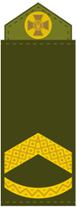 06037z0g-60a8-77x207.png