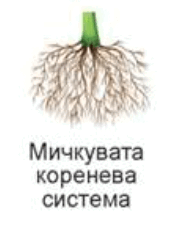 06037z2y-1ecd-175x232.png