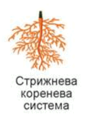 06037z3x-5ae7-168x226.png