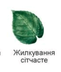 06037z4i-a2b9-199x236.png