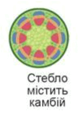 06037z53-7ec4-157x240.png