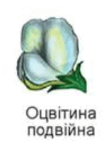 06037z5p-2559-157x227.png