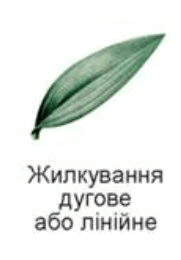 06037z7u-2e95-181x260.png