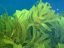 060380uq-32da-220x165.jpg