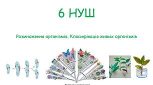 Узагальнення. Розмноження організмів забезпечує безперервність життя на Землі. Класифікація як спосіб впорядкування знань про різноманітність організмів
