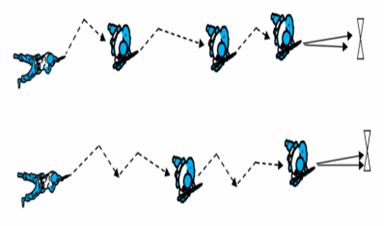 0603832t-255f-384x226.png
