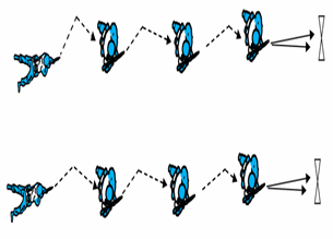 06038345-65a1-305x219.png