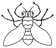 060383aw-229d-185x160.png