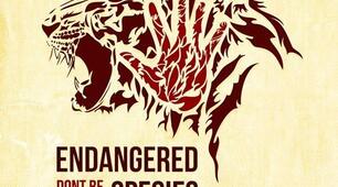 Listening Comprehension for the 7-th graders. Endangered species