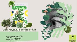 Діагностувальна робота з теми «Різноманітність вищих рослин»