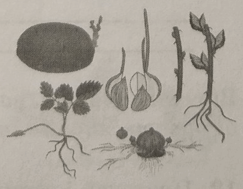 060383kx-a575-924x717.png