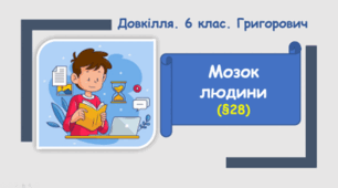 Мозок людини