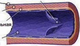 060384mr-4f2f-280x163.png