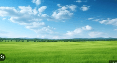 06038520-b618-409x223.png