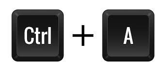 Premium Vector | Key combination Ctrl A line icon Technology typing sleek appearance user comfort efficiency innovation workplace essential Vector linear icon for business and advertising