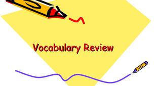 Vocabulary Review