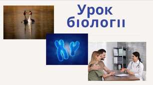 Статеві клітини та запліднення.