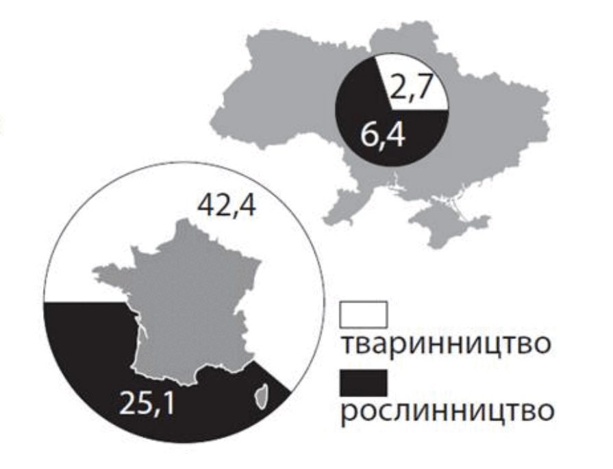 06038ksb-0886-895x685.png