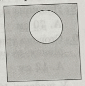 06038nvl-4f2b-167x168.png