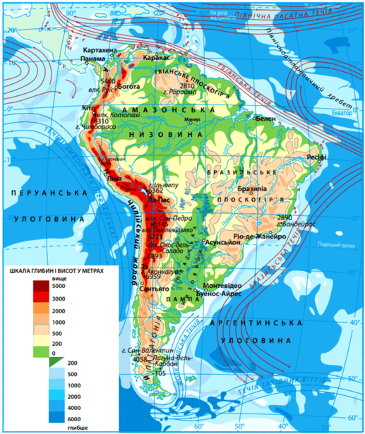 06038nzb-0e1b-517x615.png