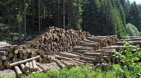 РОБОЧА ПРОГРАМА НАВЧАЛЬНОЇ ДИСЦИПЛІНИ  ЛІСОКОРИСТУВАННЯ