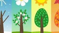 Seasons