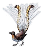 06038pwp-a317-149x172.png
