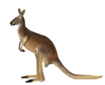 06038px5-b694-209x169.png