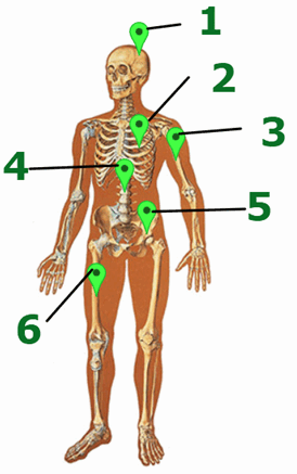 06038s0f-1a22-274x437.png