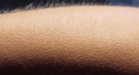 06038snc-95a8-256x138.png