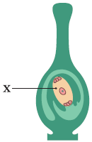 06038tgc-3b5b-130x200.png