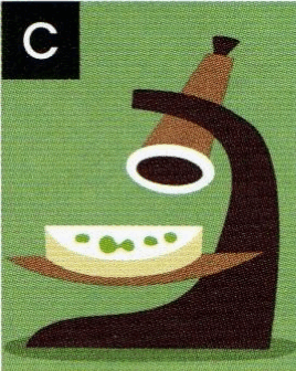 06038tig-f1b3-268x336.png