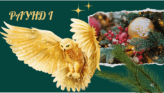 06038wxg-61d5-236x135.png