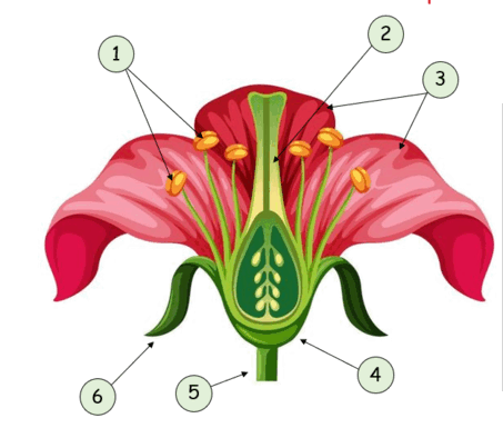 06038wyz-9f7d-453x394.png