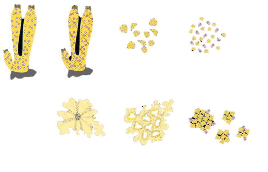 06038x3g-d3bd-940x602.png